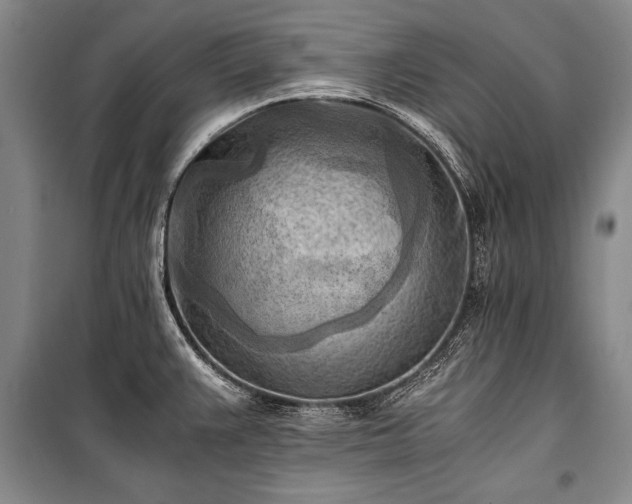 X0000100931383200807011211