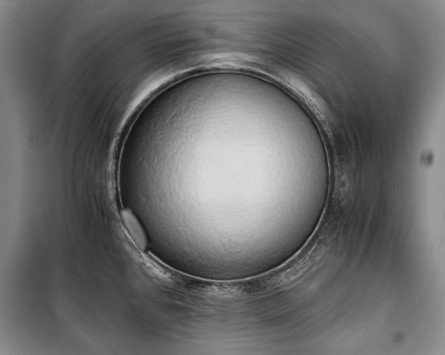 X0000100931384200807011211