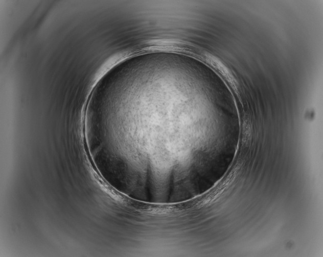 X0000100931386200807011211