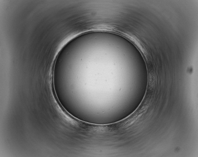 X0000100931387200807011211