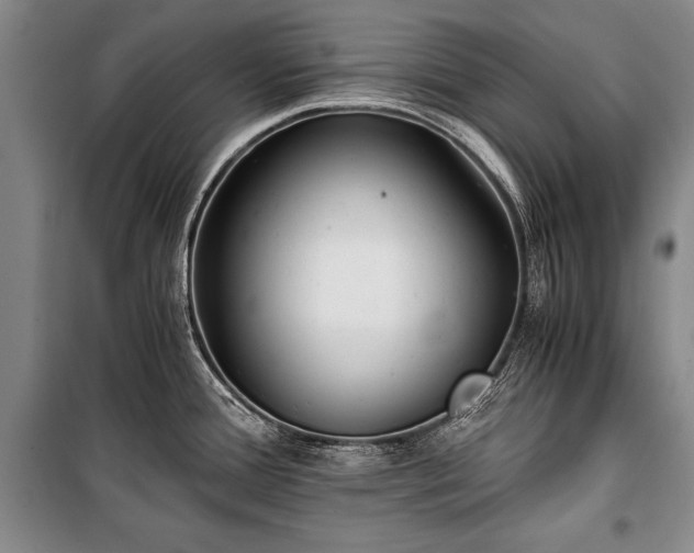 X0000100931388200807011211