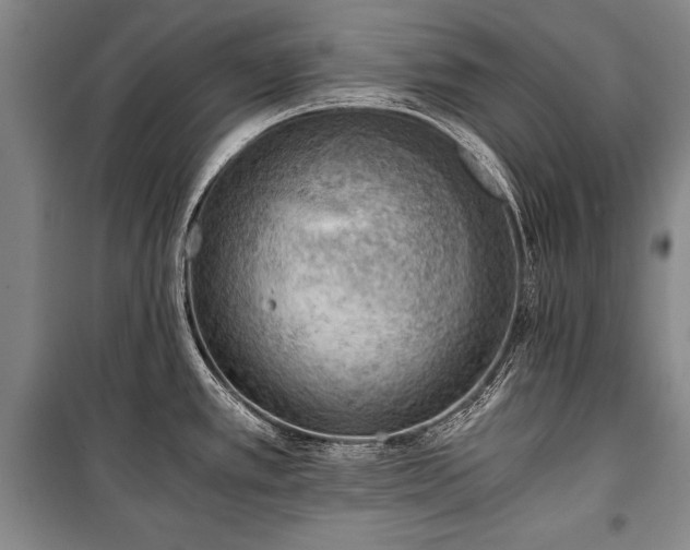 X0000100931389200807011211