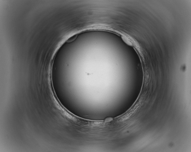 X0000100931390200807011211