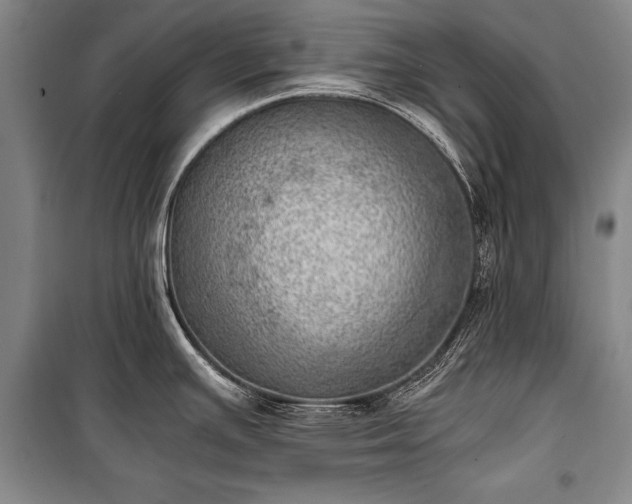 X0000100931391200807011211