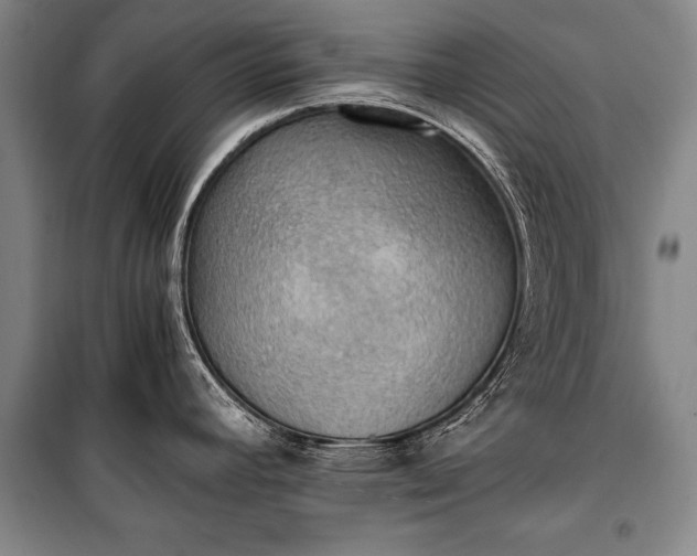 X0000100931392200807011211