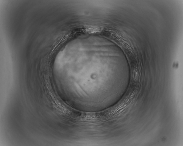 X0000100931393200807011210