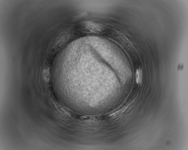 X0000100931395200807011210