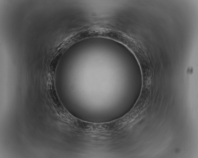 X0000100931397200807011210