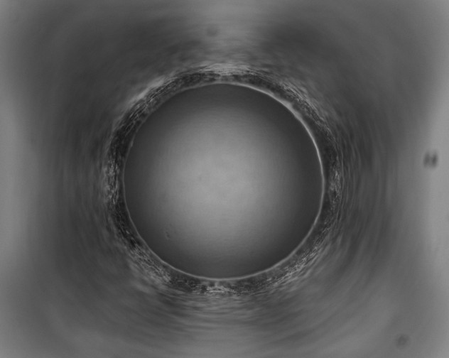 X0000100931398200807011210