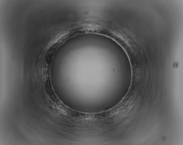 X0000100931399200807011210