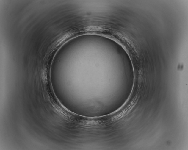 X0000100931401200807011210