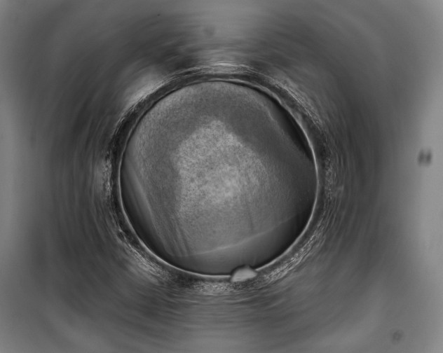 X0000100931402200807011210