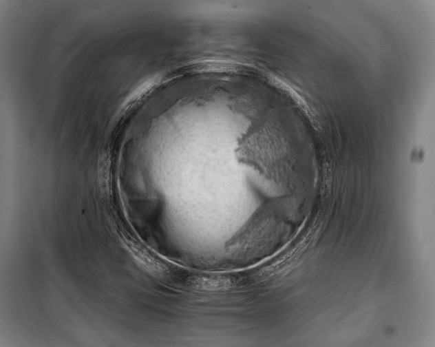 X0000100931403200807011210