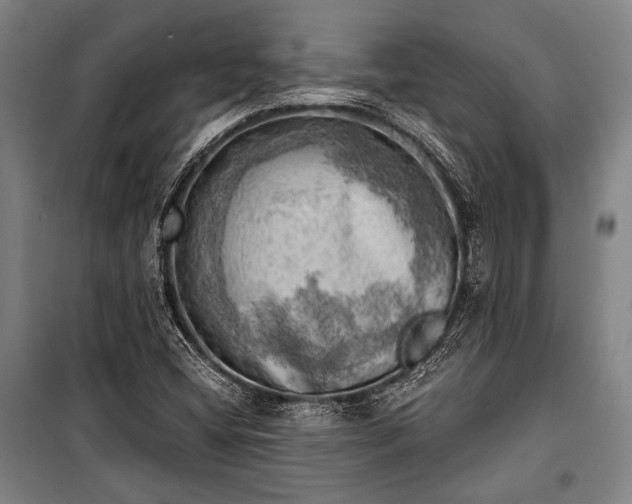 X0000100931404200807011210