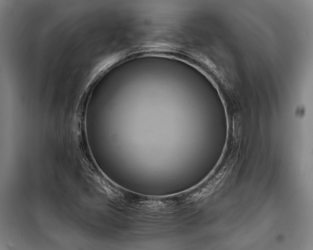 X0000100931405200807011210