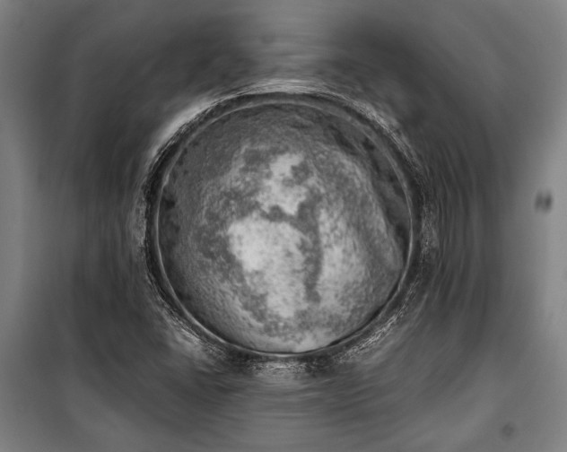 X0000100931406200807011210