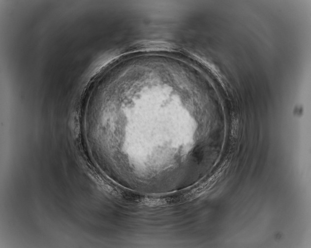 X0000100931407200807011210