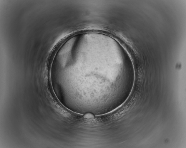 X0000100931408200807011210