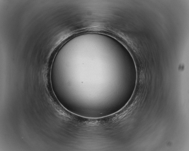 X0000100931410200807011210