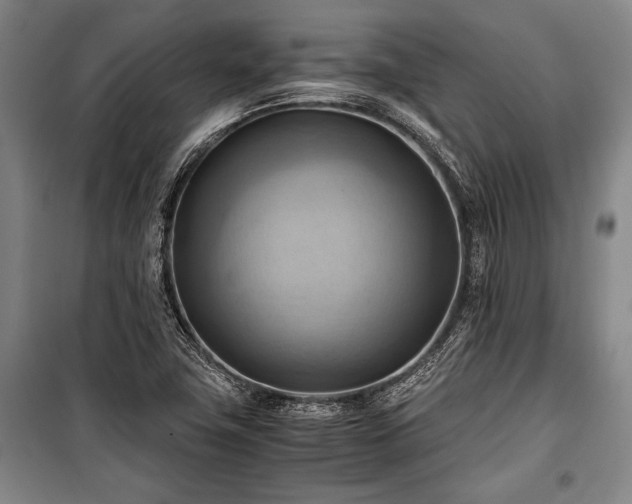 X0000100931411200807011210