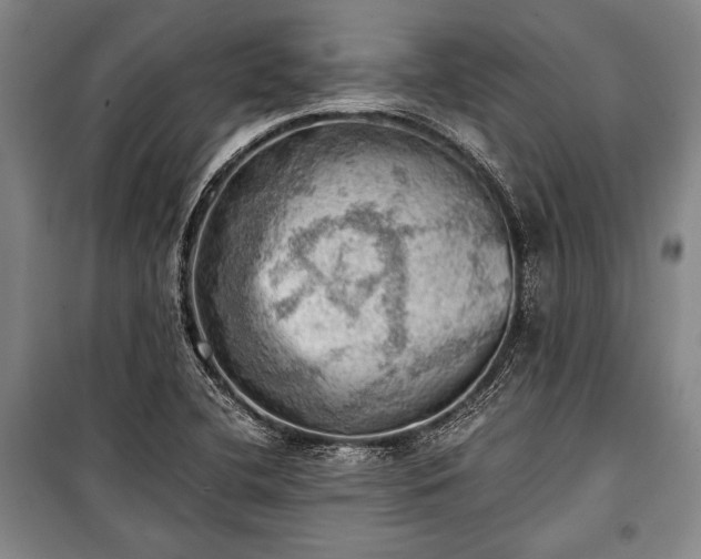 X0000100931412200807011210