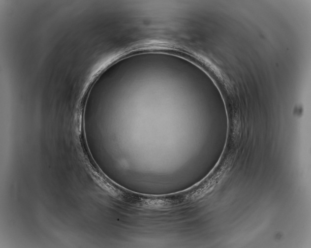 X0000100931413200807011210