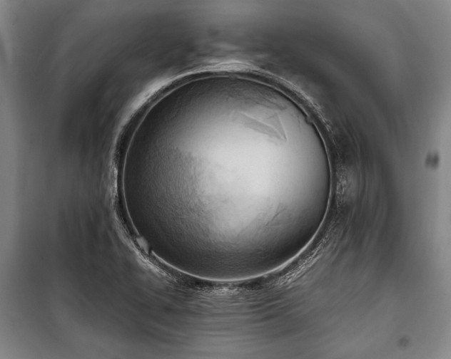 X0000100931414200807011210