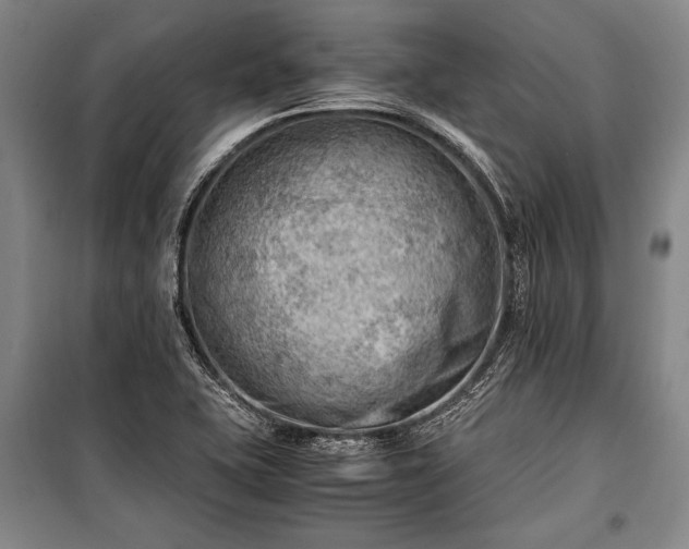 X0000100931415200807011210