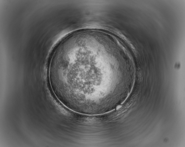 X0000100931416200807011210