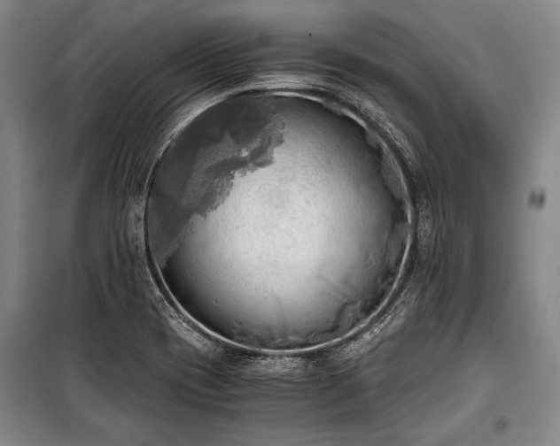 X0000100931417200807011210