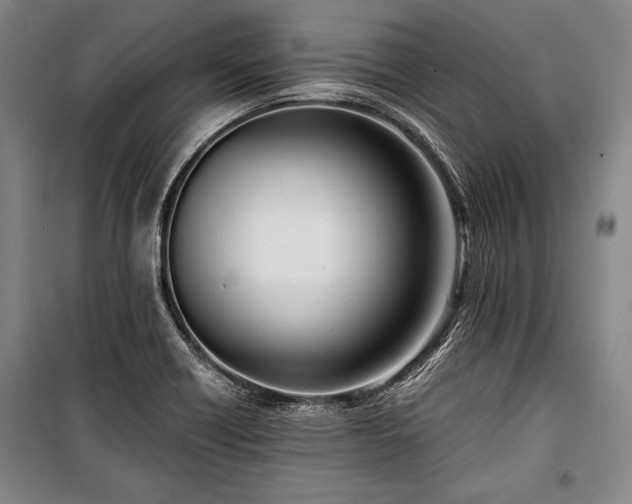 X0000100931418200807011210