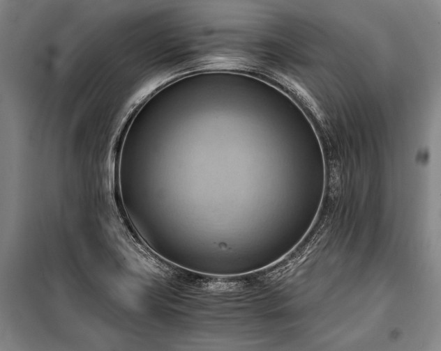 X0000100931419200807011210