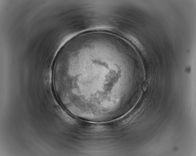 X0000100931420200807011210