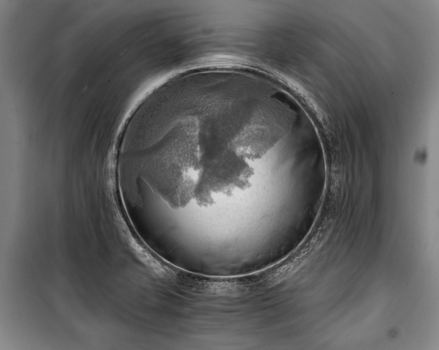 X0000100931421200807011210