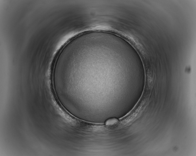 X0000100931422200807011210