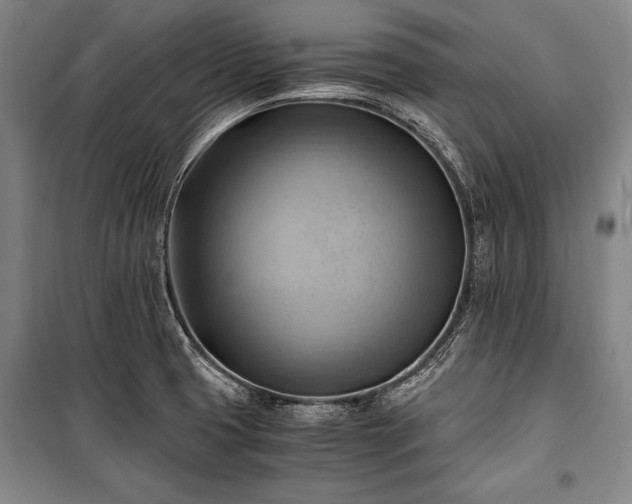 X0000100931425200807011211