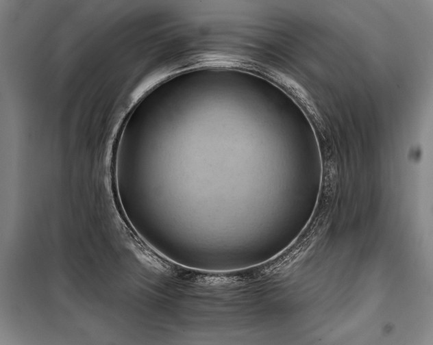 X0000100931427200807011211