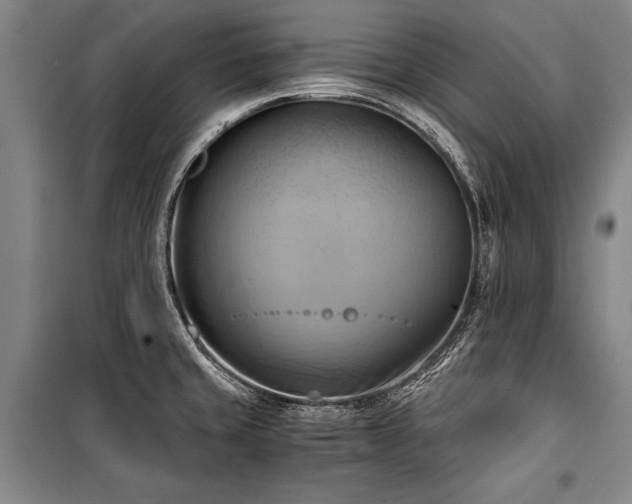 X0000100931429200807011211