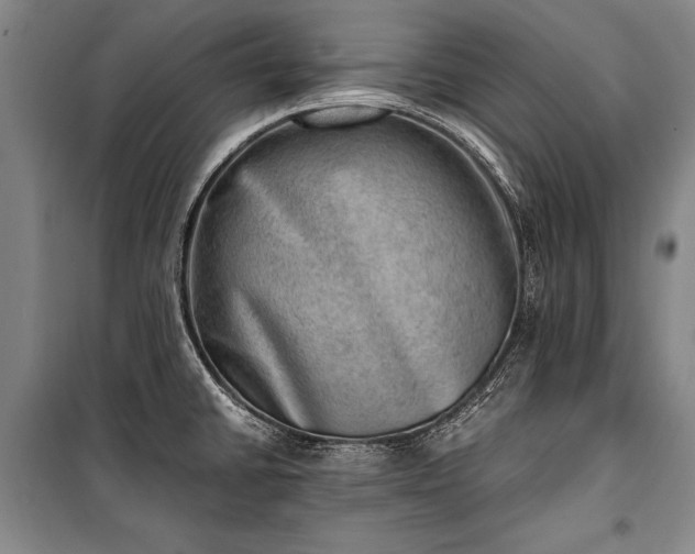 X0000100931430200807011211