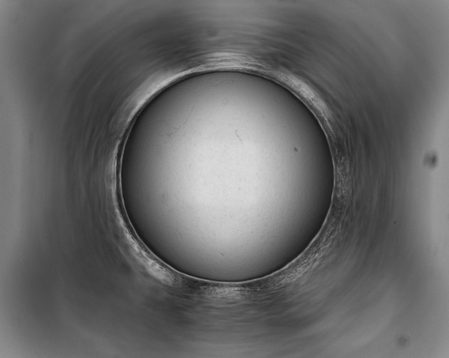 X0000100931431200807011211