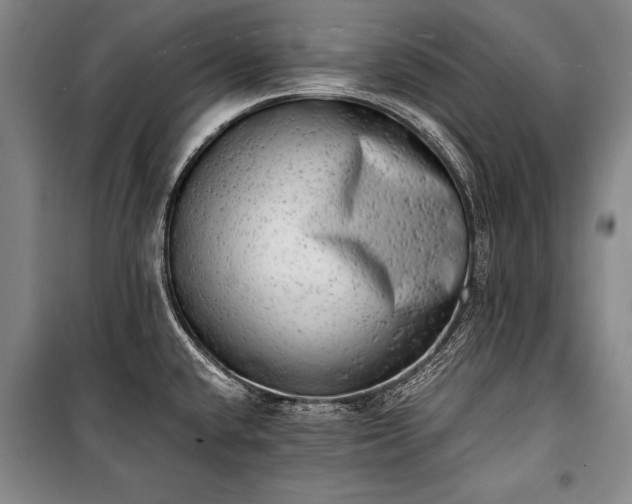 X0000100931432200807011211