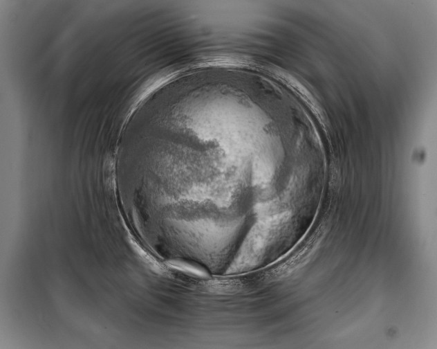 X0000100931433200807011211