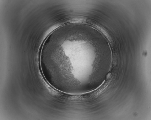 X0000100931434200807011211