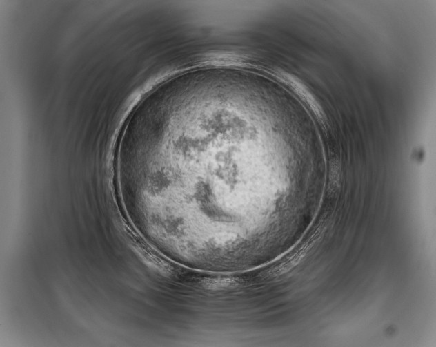 X0000100931435200807011211