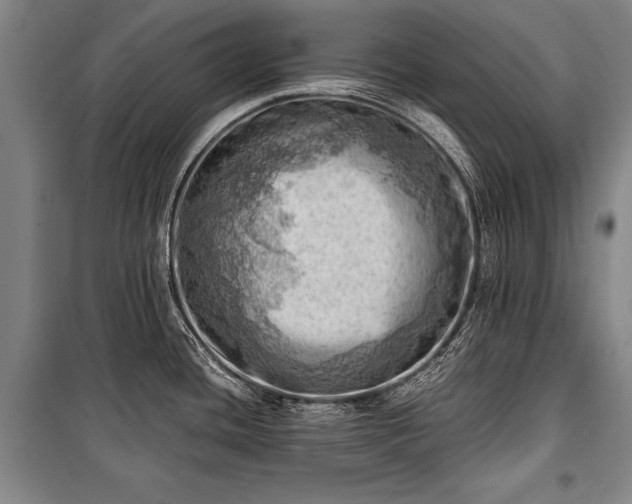 X0000100931436200807011211