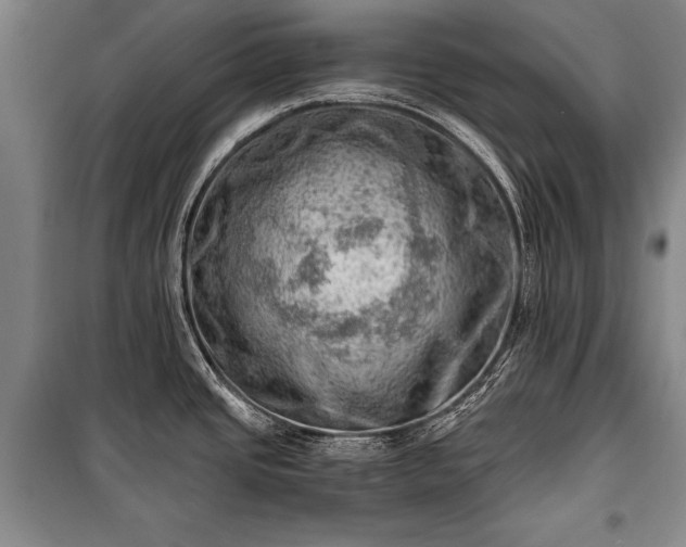 X0000100931437200807011211