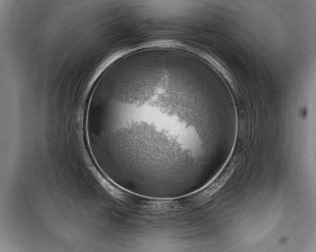 X0000100931438200807011211