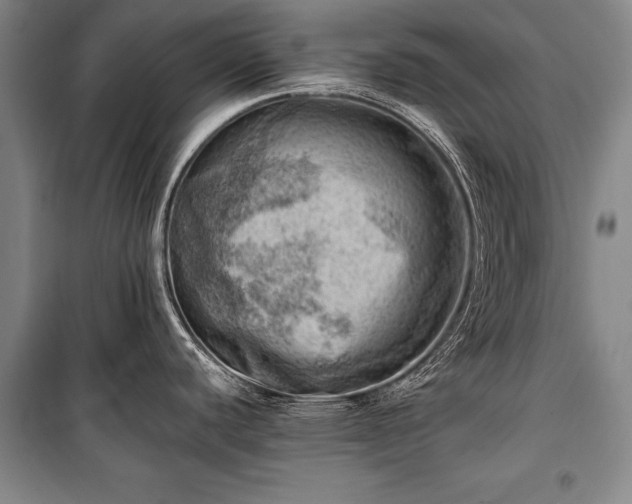 X0000100931440200807011211