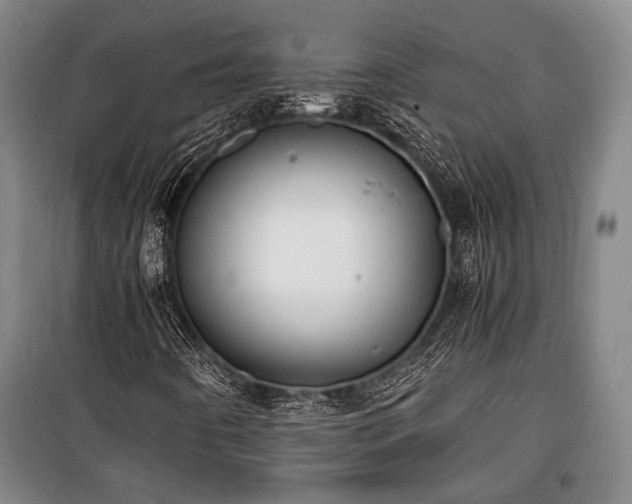 X0000100931442200807011210