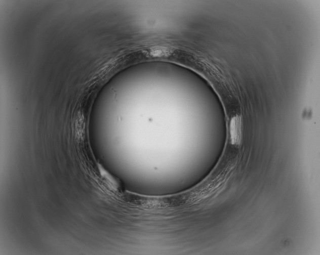 X0000100931443200807011210